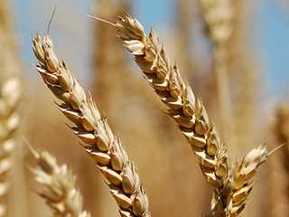 服务器搬迁成功