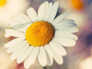 服务器搬迁成功