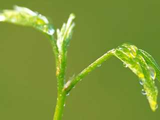 服务器搬迁成功