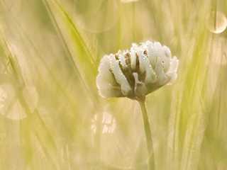 服务器搬迁成功