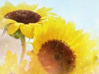 服务器搬迁成功