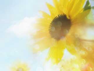 服务器搬迁成功